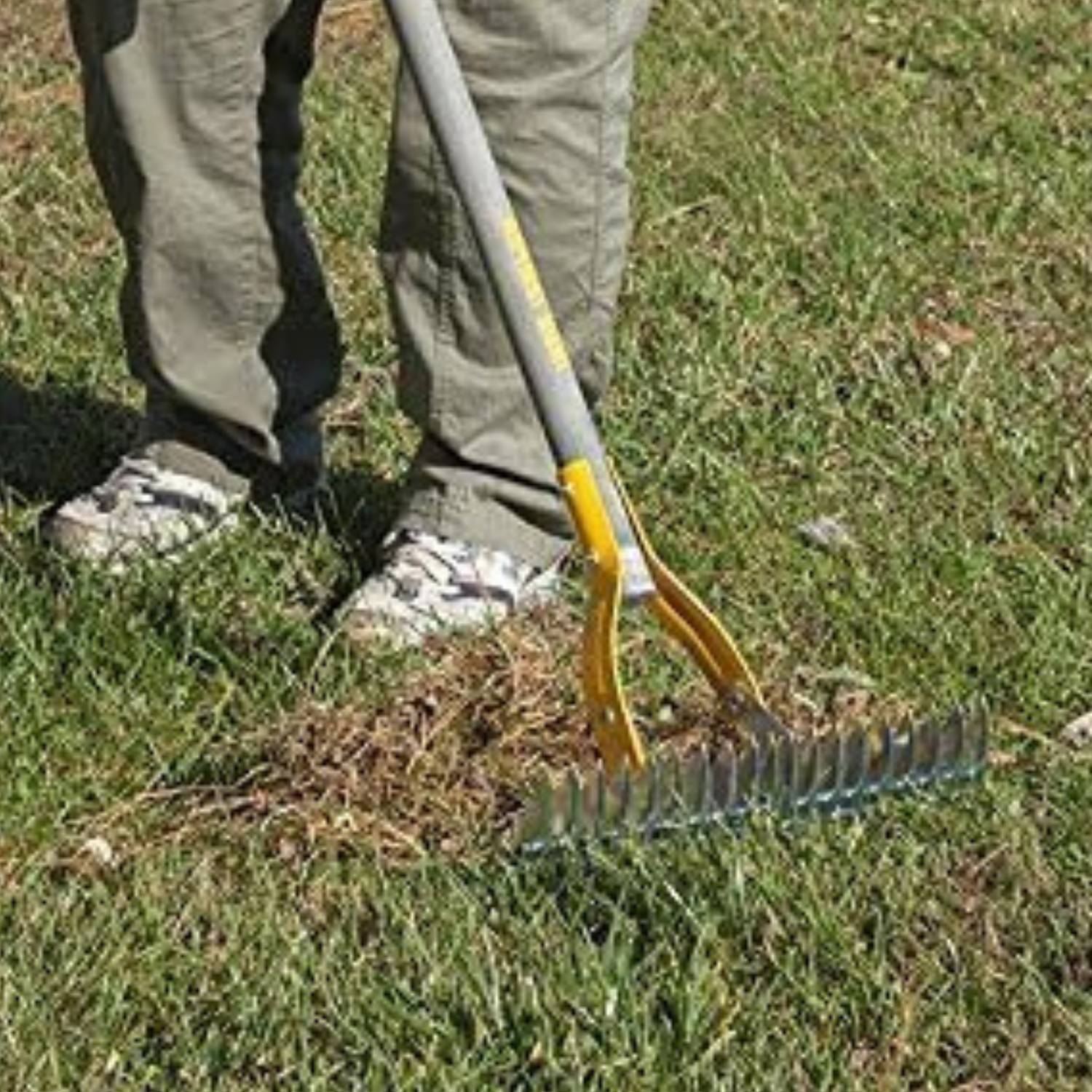 Lawn Thatching Rake