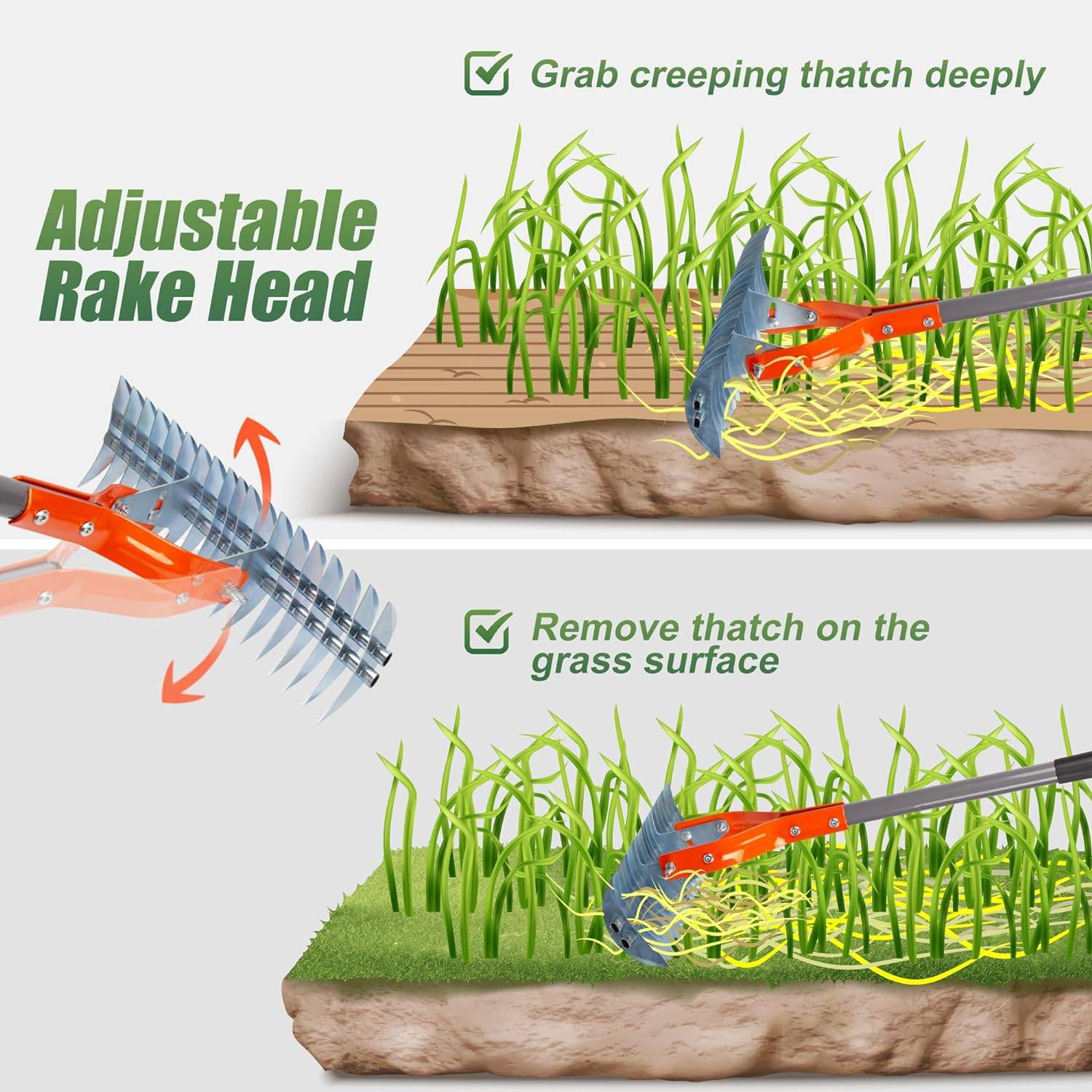 Lawn Thatching Rake